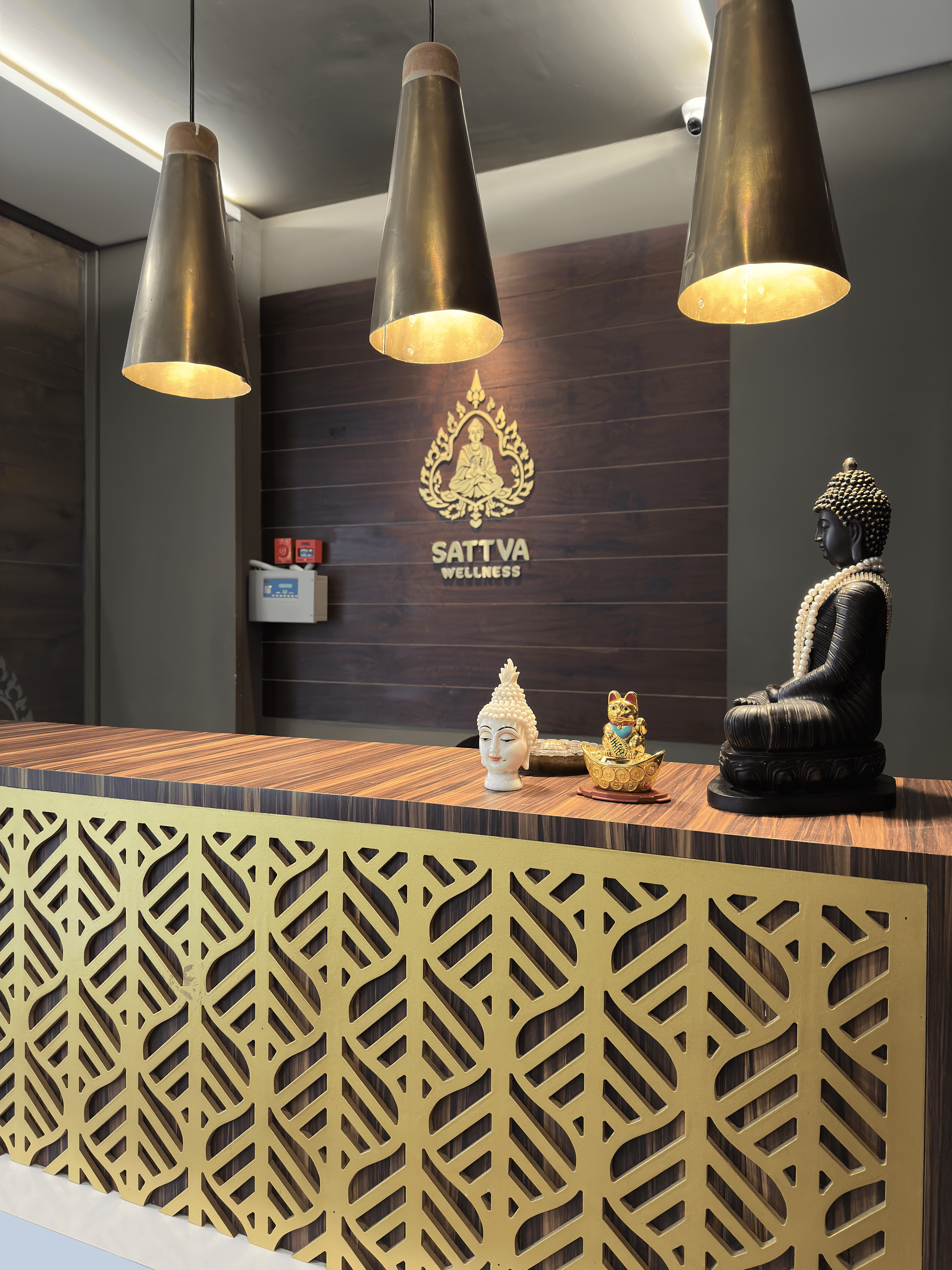 Sattva Wellness social preview 1